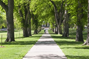 USA, CO, Fort Collins. Students walk in The Oval - a landmark park section in center