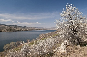 Reservoir Prints: USA, CO, Larimer Co, Fort Collins. 6. 5 mile long Horsetooth Reservoir is major water