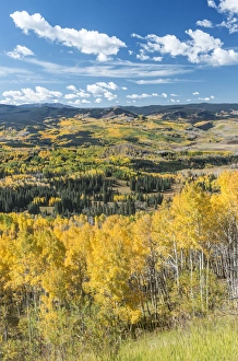 Images Dated 29th September 2015: USA, CO, Routt NF, Autuman Color in the Flat Tops Wilderness