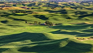 Prints of USA, Colfax, Washington State. Steptoe Butte State Park Images Dated 2019 June: USA, Colfax, Washington State. Steptoe Butte State Park