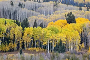 USA, Colorado