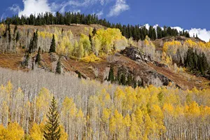 Images Dated 30th September 2009: USA, Colorado
