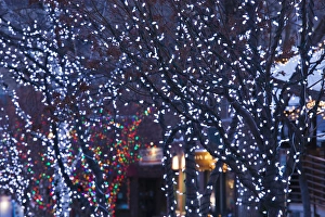 Skiing Prints: USA, Colorado, Aspen, Christmas lights on trees, Mill Street Mall