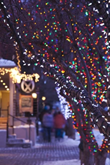 Skiing Prints: USA, Colorado, Aspen, Christmas tree lights, Mill Street Mall