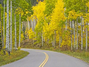 USA, Colorado, Aspen, curved roadway near township of Aspen in fall colors