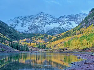 Serenity Prints: USA, Colorado, Aspen. Maroon Bells, snow-covered Aspens and firs