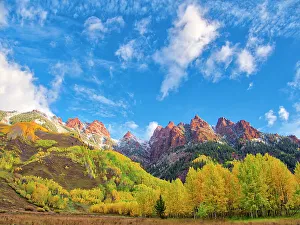 Serenity Prints: USA, Colorado, Aspen. Maroon Bells, snow-covered Aspens and firs