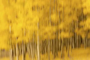 Images Dated 11th June 2021: USA, Colorado, Autumn