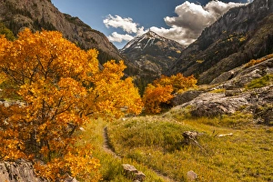 Images Dated 3rd October 2013: USA, Colorado. Autumn landscape in San Juan Mountains