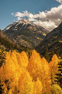 Seasonal Prints: USA, Colorado. Autumn landscape in San Juan Mountains