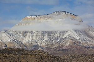Images Dated 22nd December 2011: USA, Colorado, De Beque, winter mist along the Colorado River