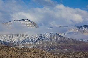 Images Dated 22nd December 2011: USA, Colorado, De Beque, winter mist along the Colorado River