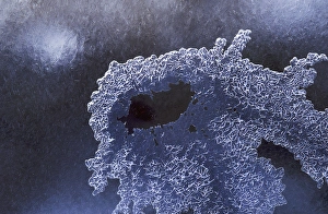 Images Dated 22nd December 2014: USA, Colorado, Boulder. Ice pattern in South Boulder Creek
