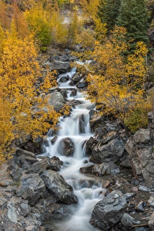 Images Dated 2nd October 2013: USA, Colorado. Cascading creek in San Juan Mountains