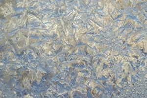 Images Dated 5th December 2013: USA, Colorado. Close-up of frost and ice on glass