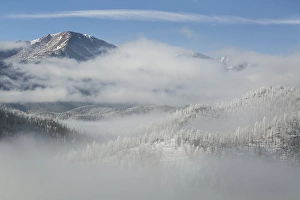 Pinus Ponderosa Prints: USA, Colorado. Clouds fill the valleys below Pikes Peak (14, 109ft - 4301m) on a frosty