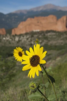 Images Dated 7th August 2010: USA, Colorado, Colorado Springs, Garden of the Gods Natural Monument & park. 1, 300