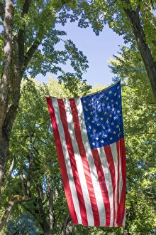 Fourth Of July Prints: USA, Colorado, Crawford. Flag hanging between two trees