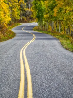 Highway Prints: USA, Colorado. Curved Roadway near Aspen, Colorado in autumn colors and aspens groves