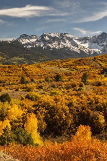 Dallas Divide Prints: USA, Colorado. Dallas Divide in San Juan Mountains