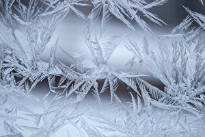Images Dated 30th December 2014: USA, Colorado, Denver. Frost on a window