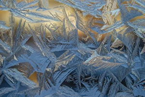 USA, Colorado, Denver. Frost on a window