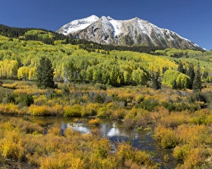 Composite Prints: USA, Colorado, East Beckwith Mountain. Composite of mountain and forest. Credit as