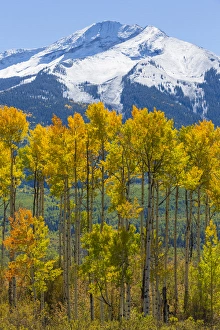 USA, Colorado. Fall aspens and mountain. Credit as: Don Paulson / Jaynes Gallery / DanitaDelimont