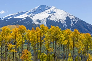 Images Dated 28th September 2013: USA, Colorado. Fall aspens and mountain