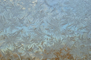 Images Dated 14th January 2013: USA, Colorado. Frost on window pane. Credit as: Cathy & Gordon Illg / Jaynes Gallery