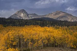 USA, Colorado, Gore Range. Sunrise on mountain and aspen trees