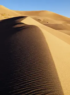 Images Dated 21st September 2010: USA, Colorado, Great Sand Dunes National Park and Preserve, Dunes in morning light