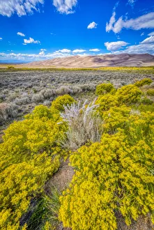 Images Dated 24th September 2018: USA, Colorado, Great Sand Dunes National Park and Preserve. Grassy plain landscape