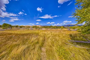 Images Dated 24th September 2018: USA, Colorado, Great Sand Dunes National Park and Preserve. Grassy plain landscape