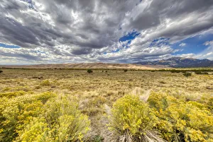 Images Dated 24th September 2018: USA, Colorado, Great Sand Dunes National Park and Preserve. Grassy plain landscape