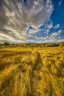 Images Dated 24th September 2018: USA, Colorado, Great Sand Dunes National Park and Preserve. Grassy plain landscape