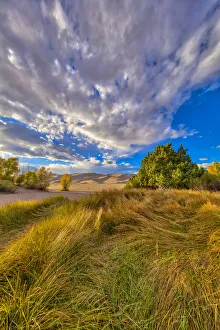 Images Dated 24th September 2018: USA, Colorado, Great Sand Dunes National Park and Preserve. Grassy plain landscape