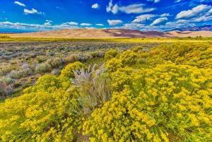 Images Dated 24th September 2018: USA, Colorado, Great Sand Dunes National Park and Preserve. Landscape of plain and dunes