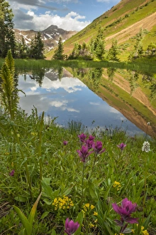 Images Dated 27th July 2015: USA, Colorado, Gunnison National Forest. Paradise Divide and pond reflection. Credit as