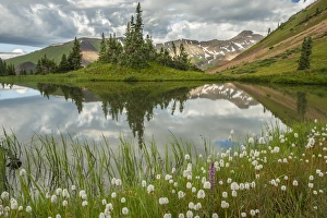 Images Dated 27th July 2015: USA, Colorado, Gunnison National Forest. Paradise Divide and pond reflection. Credit as