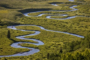 Images Dated 23rd July 2011: USA, Colorado, Gunnison National Forest
