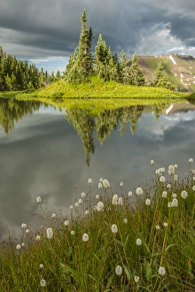 Images Dated 27th July 2015: USA, Colorado, Gunnison National Forest. Paradise Divide and pond reflection. Credit as