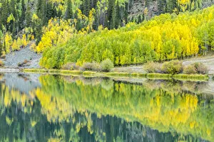 Images Dated 27th February 2020: USA, Colorado, Gunnison National Forest. Forest reflections in lake