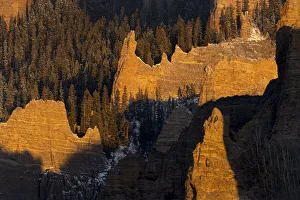 Images Dated 17th January 2022: USA, Colorado, Gunnison National Forest. Sunrise on cliffs and forest in autumn