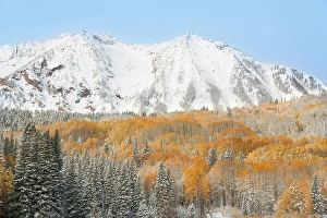 Don Grall Prints: USA, Colorado, Gunnison National Forest