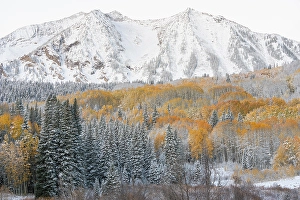 Don Grall Prints: USA, Colorado, Gunnison National Forest