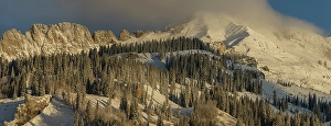 Don Grall Prints: USA, Colorado, Gunnison National Forest