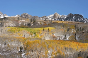 Don Grall Prints: USA, Colorado, Gunnison National Forest