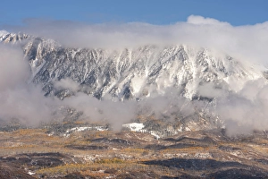 Don Grall Prints: USA, Colorado, Gunnison National Forest