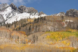 Don Grall Prints: USA, Colorado, Gunnison National Forest